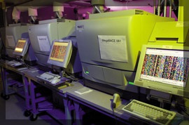 labreportsmicrofichemachines.jpg  Photo of computers and printers
