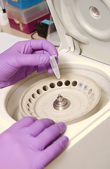 principles_of_dna_12_-_dna_test.jpeg Photo of gloved hands loading DNA sample into a machine