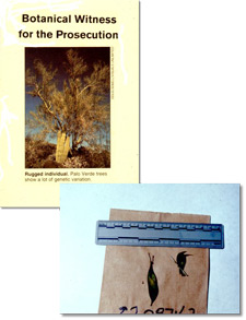 principles_of_dna_15_-_non-human_samples.jpeg Photo of the cover of a book "Botanical Witness for the Prosecution" as well as leaf collected as evidence