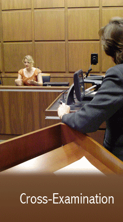 Cross Examination Cross Examination