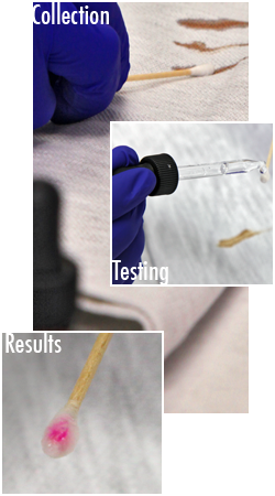 Laboratory Time and Resources - collection composite of three images, collecting DNA on swab, testing swab, results of swab