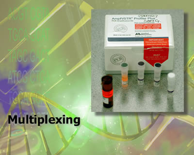 Multiplexing Multiplexing