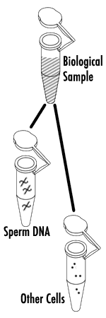 Laboratory Time and Resources - tubes illustration of test tubes
