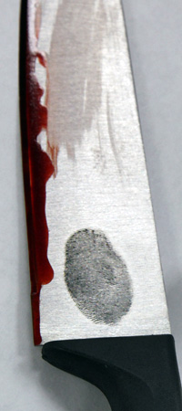 laboratory time and resources - fingerprint.jpeg fingerprint on a bloody piece of clothing