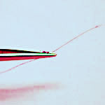 dnaevidence_identifyingdnaevidence_hairjpeg.jpg The end of a hair follicle