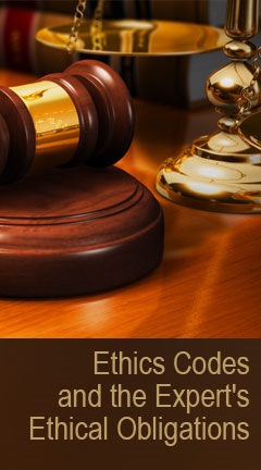 Ethics Codes and the Expert's Ethical Obligations Ethics Codes and the Expert's Ethical Obligations