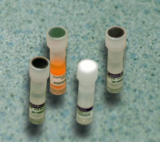 Factors Photo of test tubes