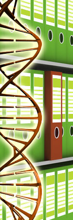 familial_searching_-_investigation_aided.jpeg Composite image of DNA and files on a shelf