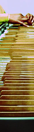 investigation_through_arrest_phases_2.jpeg Photo of someone searching through file folders