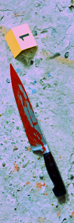 limiting_cases_submitted.jpeg crime scene photo of a bloody knife