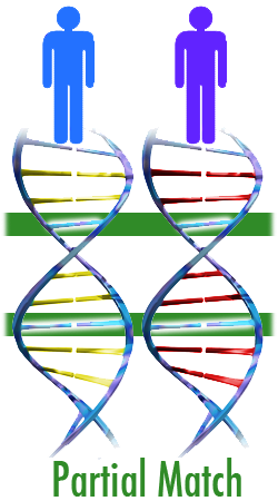 partial_matches_-_overview.png illustration showing a partial match