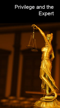 privilegeandthexpert.jpg  Photo of Lady Justice. Caption reads, 'Privilege and the Expert'