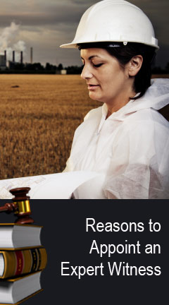 reasonstoappointanexpertwitness.jpg Photo of a construction female construction worker. Caption says 'Reason to Appoint an Expert Witness'