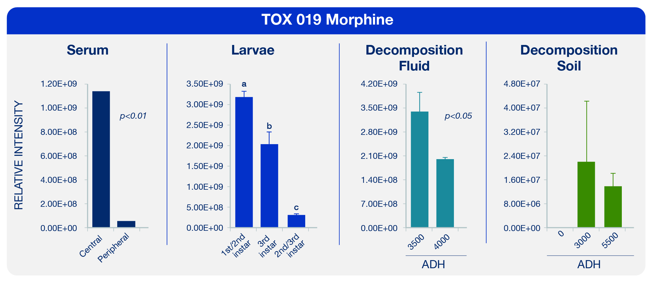 Figure 3. Tracking the route of morphine from the cadaver into the surrounding environment.  Morphine was present in the blood serum, the larvae that were feeding on the cadaver, the decomposition fluid, and eventually the soil as well.
