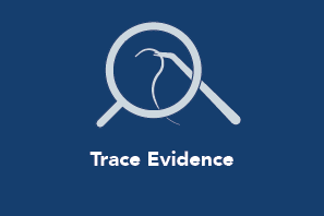 Trace Evidence icon Trace Evidence