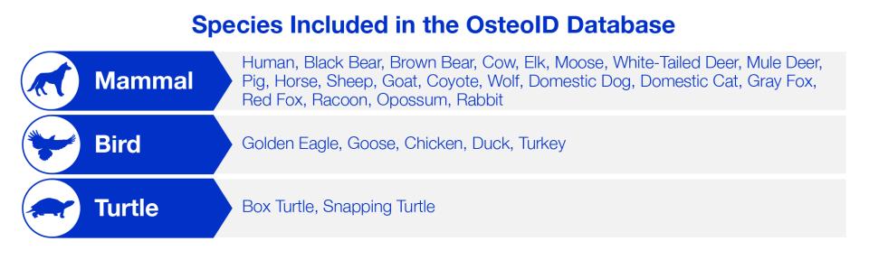 Species Included in the OsteoID Database Species Included in the OsteoID Database