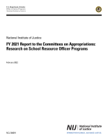 NCJ Number 304291 thumbnail NCJ Number 304291 thumbnail image