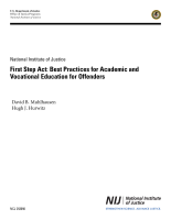 NCJ Number 253056 thumbnail NCJ Number 253056 thumbnail image