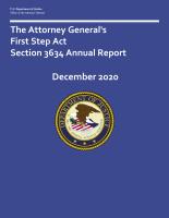 NCJ Number 304610 thumbnail NCJ Number 304610 thumbnail image