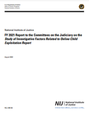 NCJ Number 305136 Thumbnail  NCJ Number 305136 Thumbnail