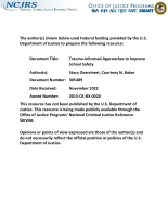 NCJ Number 305489 thumbnail NCJ Number 305489 thumbnail image