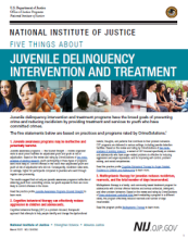 NCJ Number 304296 Thumbnail  NCJ Number 304296 Thumbnail