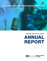 NCJ Number 305188 thumbnail NCJ Number 305188 thumbnail image