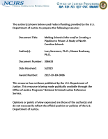 NCJ Number 306633 thumbnail NCJ Number 306633 thumbnail image