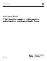 NCJ Number 307718 thumbnail NCJ Number 307718 thumbnail image