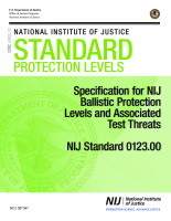 NCJ Number 307347 thumbnail NCJ Number 307347 thumbnail image
