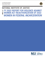 NCJ Number 309103 Thumbnail NCJ Number 309103 Thumbnail